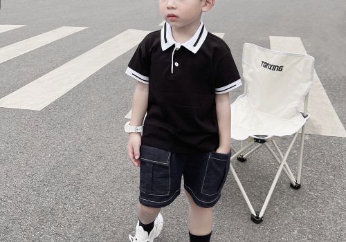 ÁO POLO CỘC TAY PHỐI VIỀN